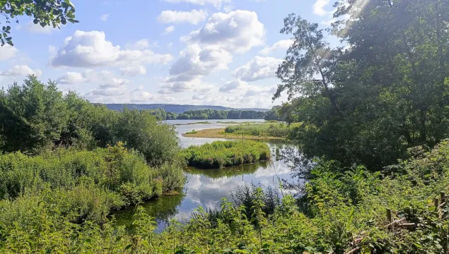 The view across the lakes at Sevenoaks Wildlife Reserve in summer.