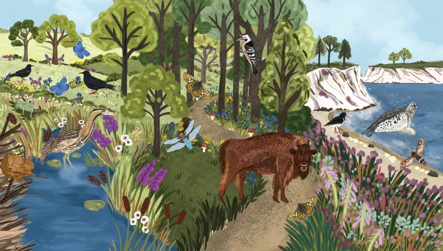 Nature Restoration Fund illustration species adjusted