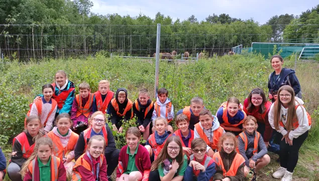 Wilder Schools - Hoath