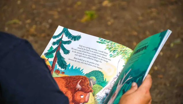 The view over a person's shoulder to a double page spread of an illustrated story book.