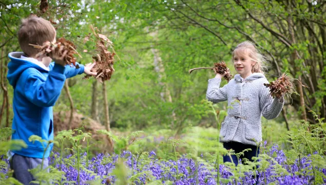 Two children playing with leaves in a bluebell wood