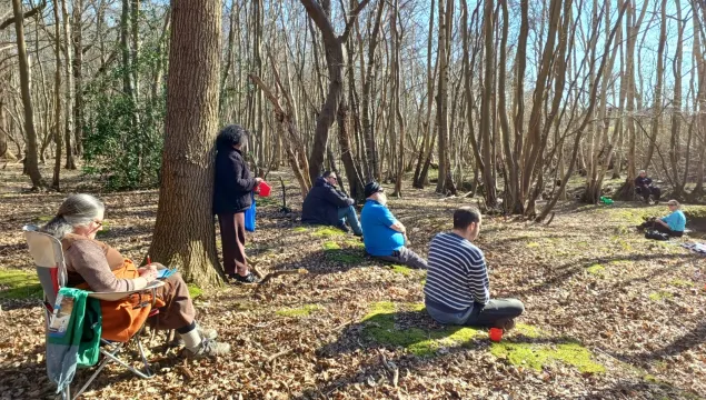sitting in woods