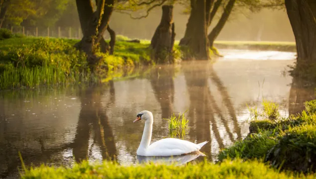 River Darent 
