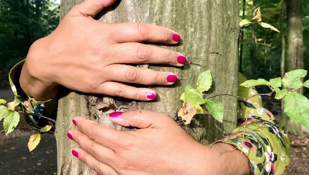 hands tree