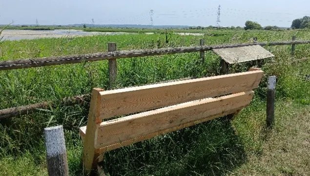 Bench at Oare Marshes
