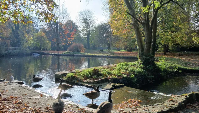 Bradbourne Lakes