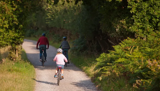 Family cycling outdoors