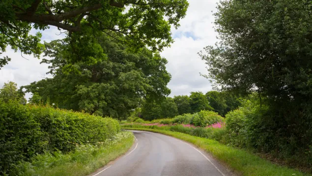 Hedgerows