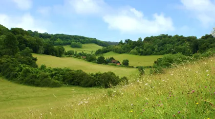 Magpie Bottom, photo by Ray Lewis