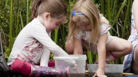 Children pond dipping, photo by Ross Hoddinott/2020VISION