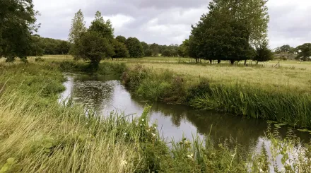 River Eden, photo by Chloe Sadler