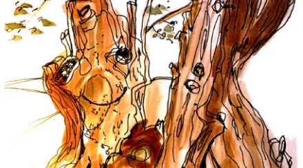 The Ash Tree's Story