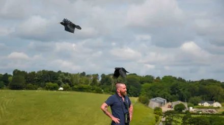 Paul Hadaway and chough