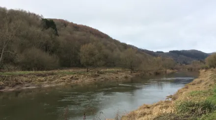 A river in Wales, with a wooded hill on the far bank