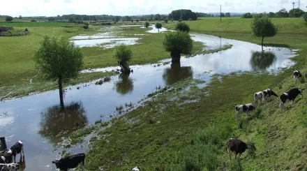 River Sow Floodplain