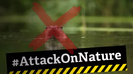 Attack on nature youtube thumbnail