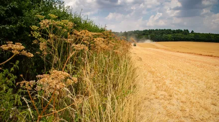 farming wildlife trusts