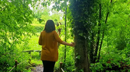 walking through a forest