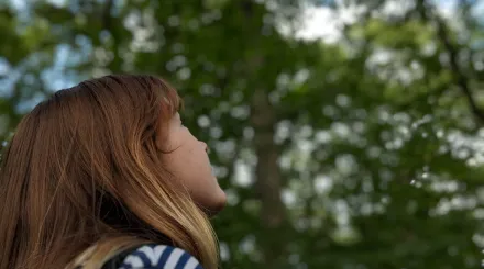 A young person looking up at a canopy of woodland trees