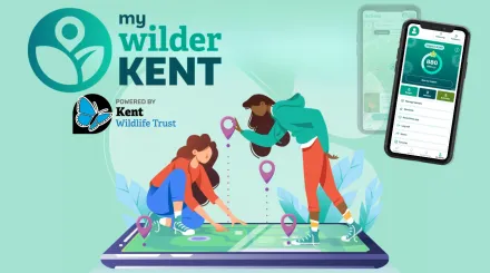 Two people dropping map pins onto a mobile phone screen from above