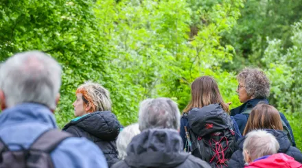 People walking outside in the woods