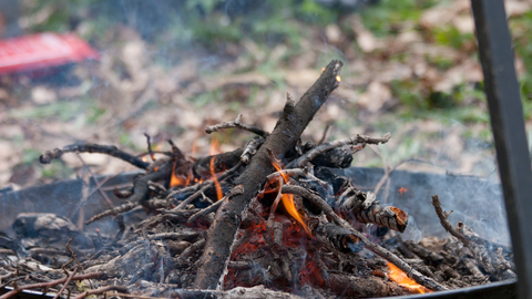 Campfire in firebowl