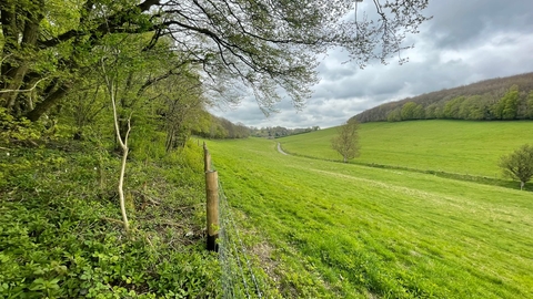 Covert wood valley view