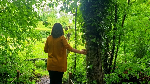 Someone walking away through green leaves of trees, touching a tree trunk