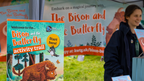 A sign promoting the Bison and Butterfly activity trail at the Wilder Blean festival