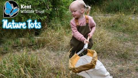 Nature tots - toddler sweep net