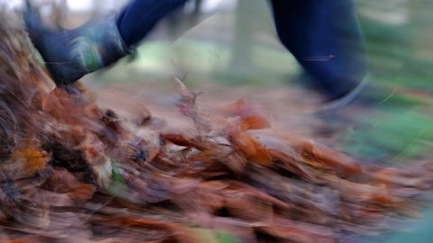 Blurred autumn leaves being kicked by children's wellie boots