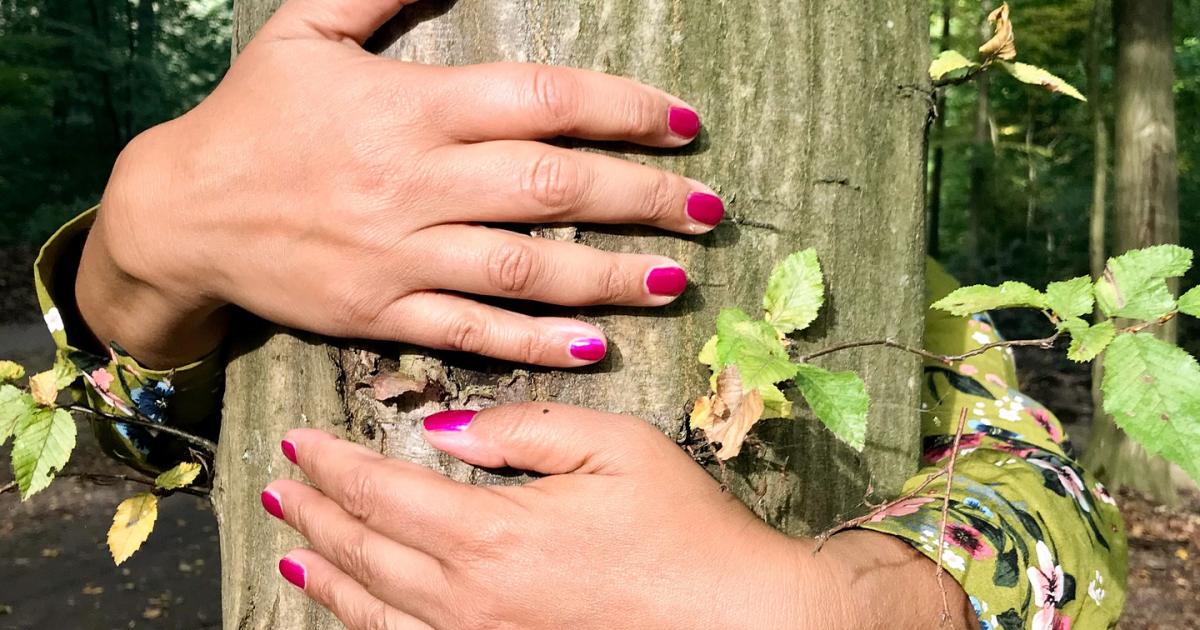 Weekend Wellness: Forest Bathing in Hothfield Heathlands