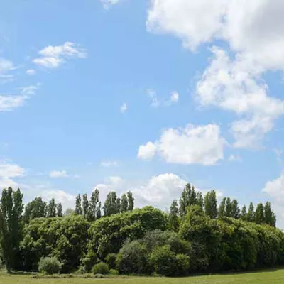 Blue skies over Lodge Hill on a fine spring day.