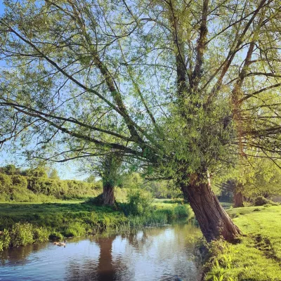 River Darenth Spring