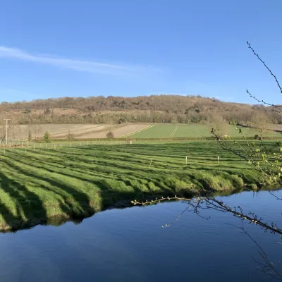 River meadows