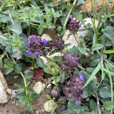 Self-heal