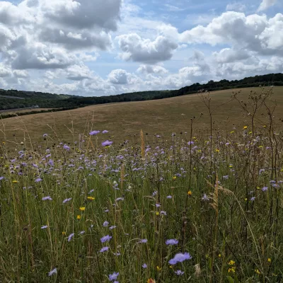 View from the new path at Nashenden down