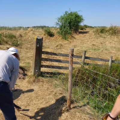 Swale team repair oare ditch wings aug 2024