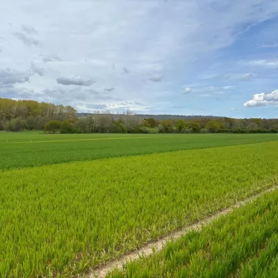 Nitrogen plots