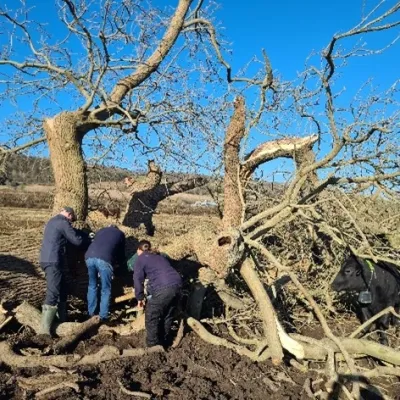 Volunteers searching for signs of water vole