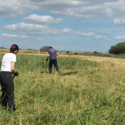 Eloise and John at Oare scything