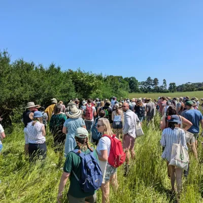 Hedge safari