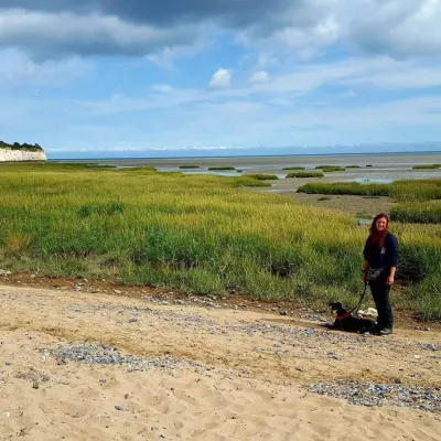 Dog with owner at tidal site.