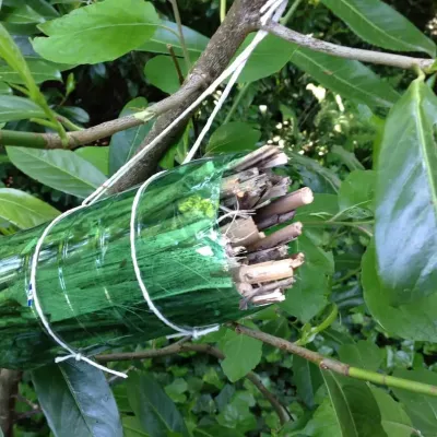 Bug hotel with recycled materials