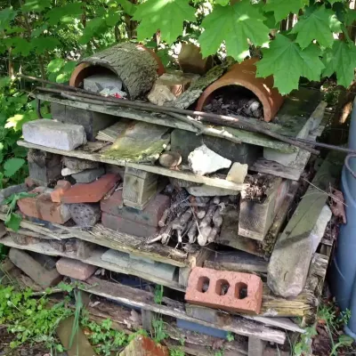 Bug hotel