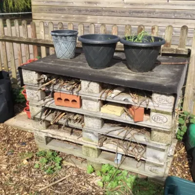 Bug hotel in garden area