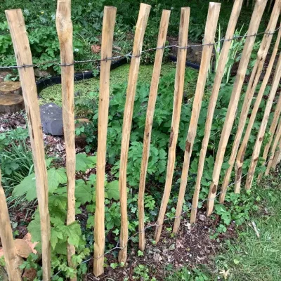 New fence around the pond