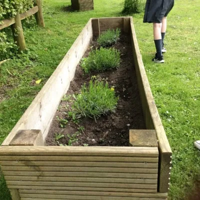 New raised beds with pollinator-friendly plants