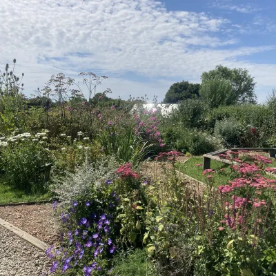 The gardens, Green Farm, Shadoxhurst