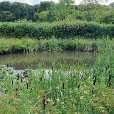 A lake at Moat Farm, Shadoxhurst